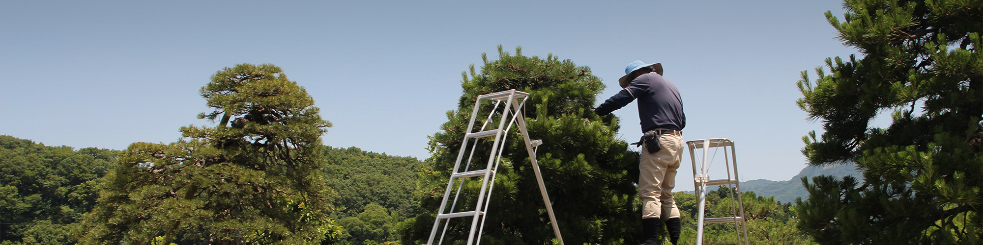 業務内容