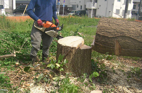 地域に根ざす、緑豊かな街づくり