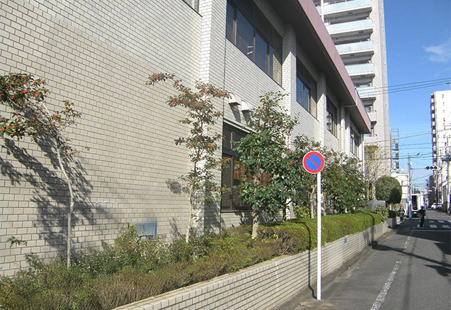 ビル・マンションの緑地施工・管理